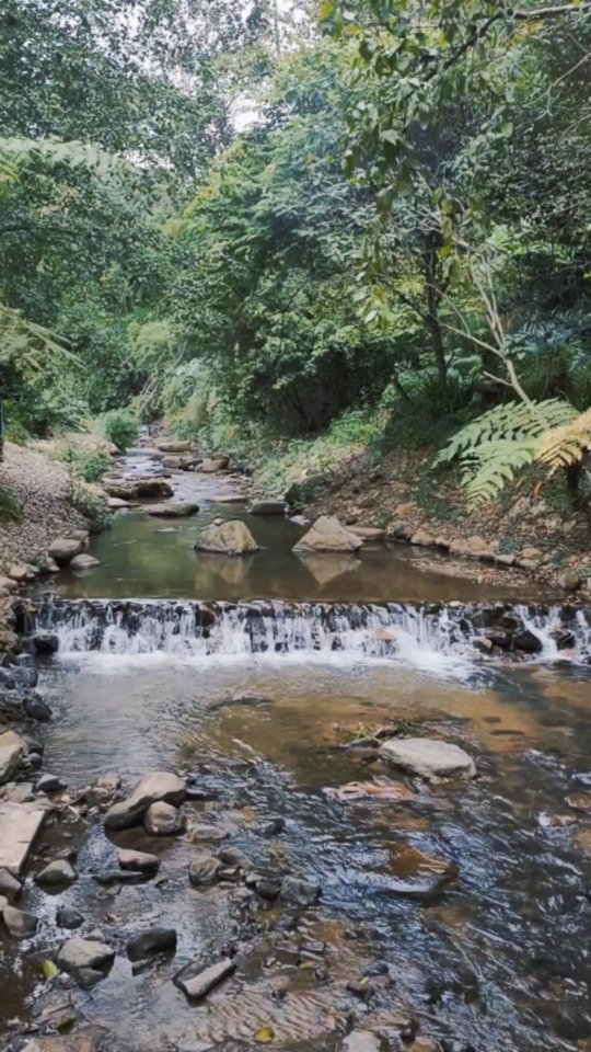กาแฟรสชาติดี ขนม อาหารอร่อย คนไม่พลุกพล่าน ธรรมชาติฮีลใจแบบสุดๆ นั่งฟังเสียงน้ำไหล ได้มาพักผ่อนคลายแบบสบายใจ 
" Nine One Coffee Organic Farm (ริมธารบ้านเมี่ยง) "
#รีวิวเชียงใหม่ #เที่ยวเชียงใหม่ #คาเฟ่เชียงใหม่ #รีวิวคาเฟ่ #รีวิวร้านกาแฟ #กาแฟอร่อย #เที่ยวดอยสะเก็ด #เที่ยวธรรมชาติ #เที่ยวหน้าหนาว #เที่ยวน้ำตก #คาเฟ่ธรรมชาติ